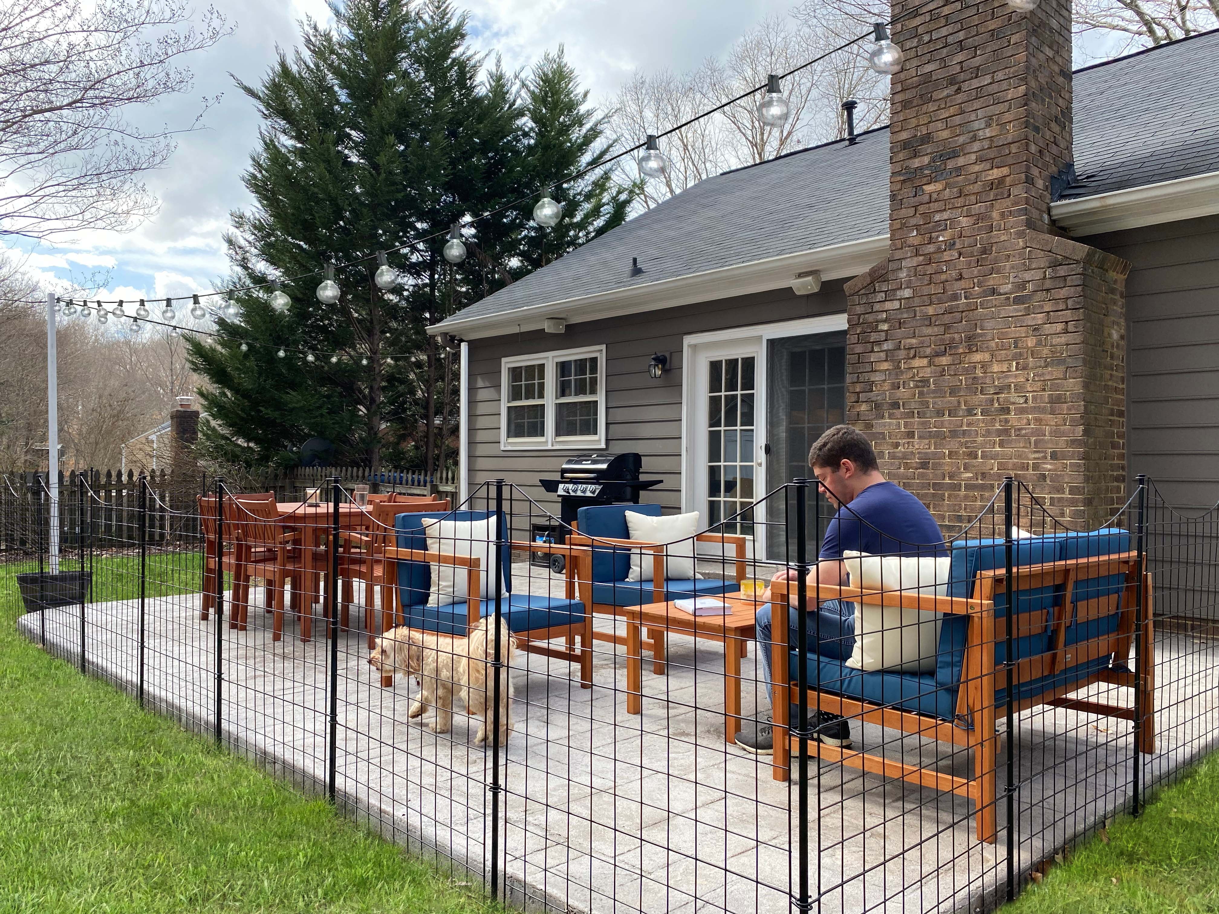 39in-H-5-Fence-Panels-Dig-Easy-Install-Zippity-Black-Metal-Fence-Decorative-Fence-Ideal-Garden-Fencing-Dogs-Temporary-Fence-Garden-Fence-Animal-Barri_771b00a0-b661-41a5-9c6e-b0336415f