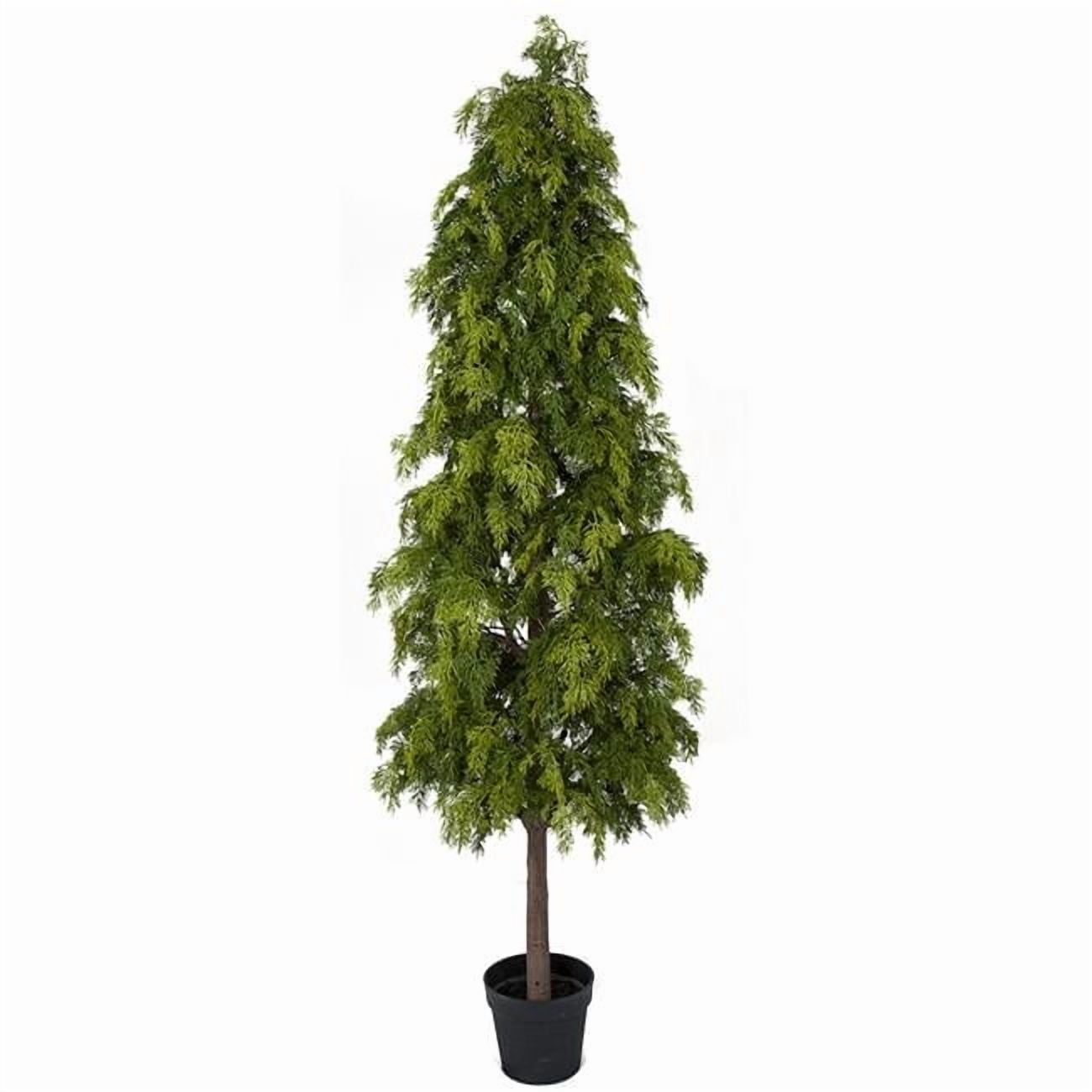 6-ft-Cypress-Tree-Shrub-Green_baee3581-57fb-48b3-aeb4-787f47e4c9ea.5c6d95ad563d39388afa41bb192fe243