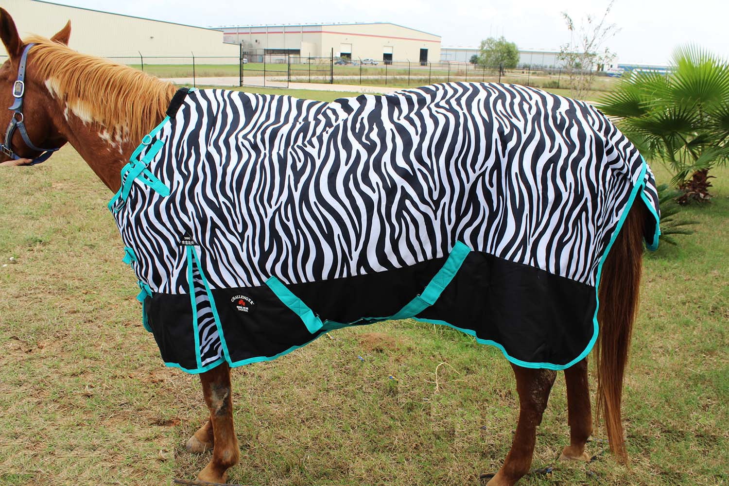 80-1000D-Turnout-Waterproof-Horse-WINTER-Coat-BLANKET-Zebra-104_c69638e4-16ea-4e15-b291-e1ca7ca50f36_1.44b8257488d8acff4a8be76edc164bd8